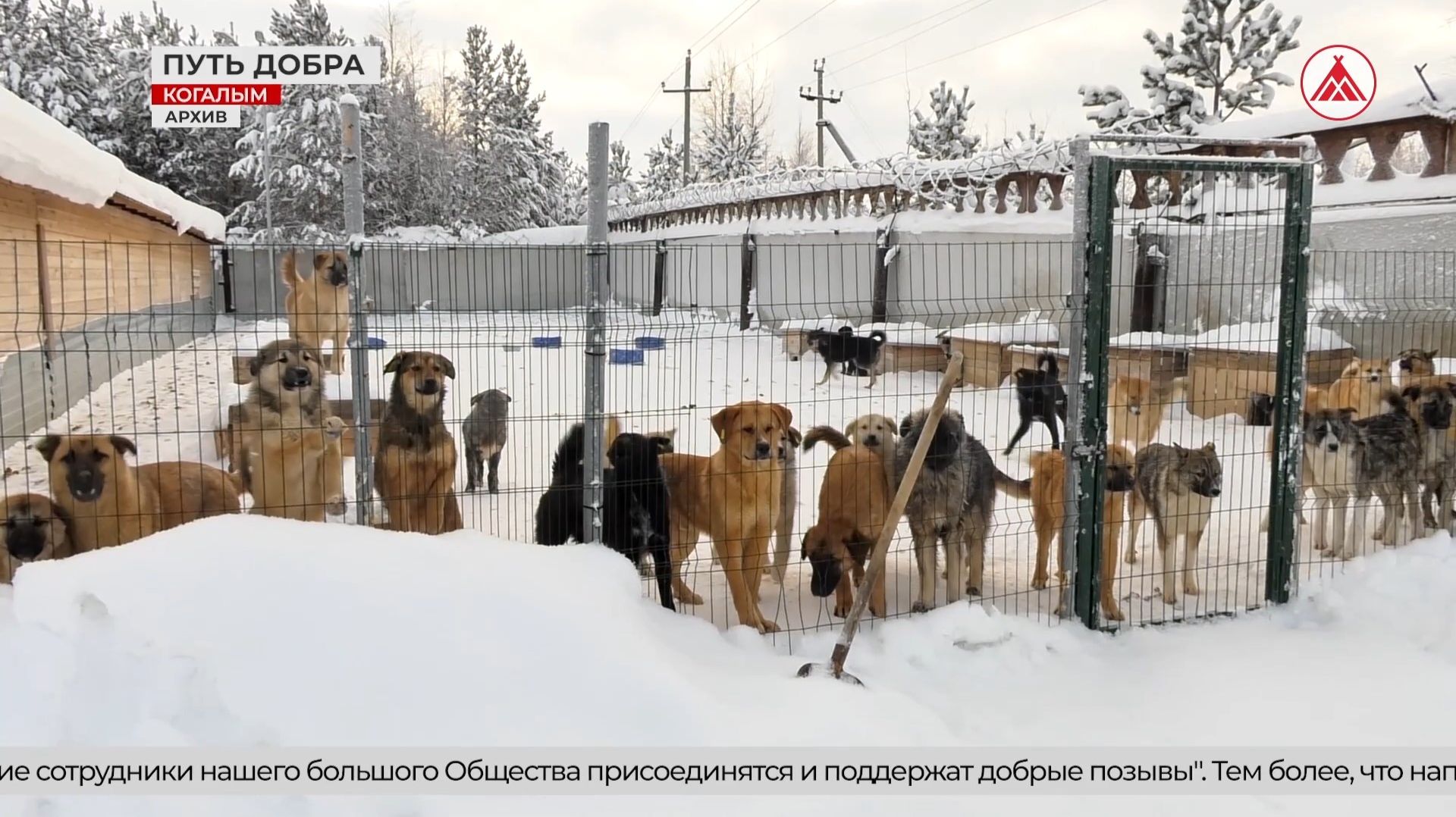 D48c633fffde5c070ced309c65f68271