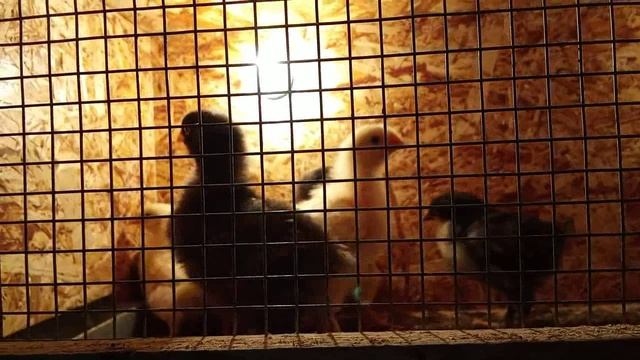 191c6fa7385ff9dd5fb39dfaaf8b5e03