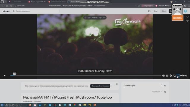 канал котик 3 часть!