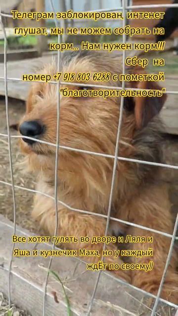 НАС107=106хвостиков  +1человек!