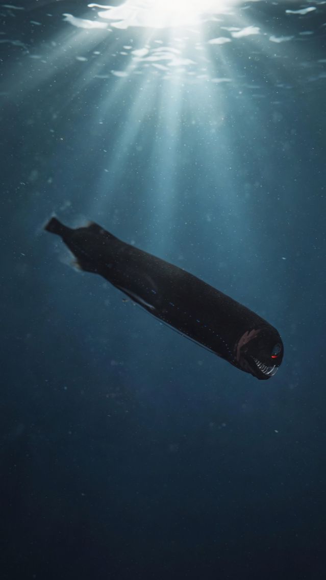 Скрытый от человеческих глаз на глубине более  900 метров..