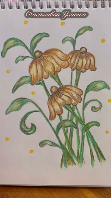 Рисунки карандашами Цветы