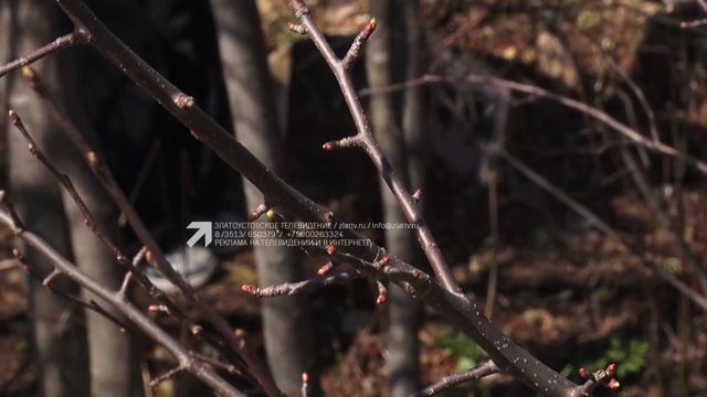 Златоустовцы провели субботник на берегу речки Есаулка