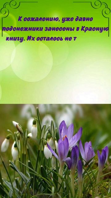 VID_20260420_125753_186.mp4