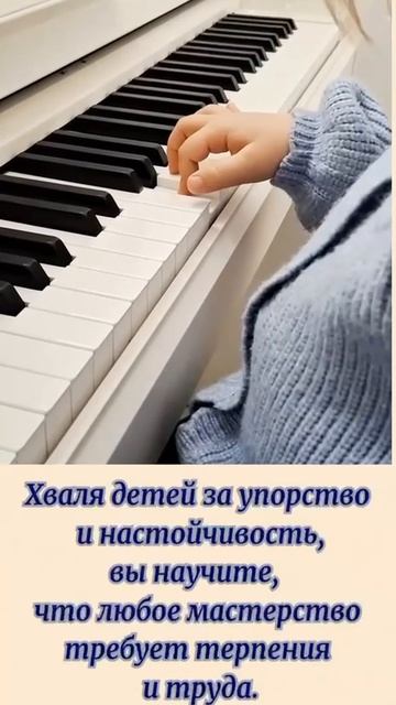 VID_20260420_203049_833.mp4