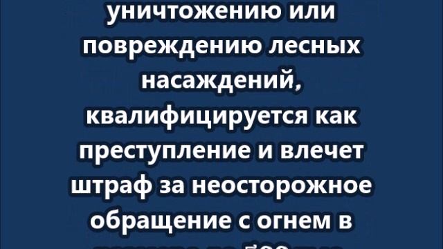 За сжигание сухой травы можно получить штраф до 3 млн рублей