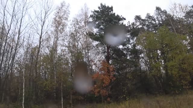 781f6e540d35816b62c8b5fdadb1b532