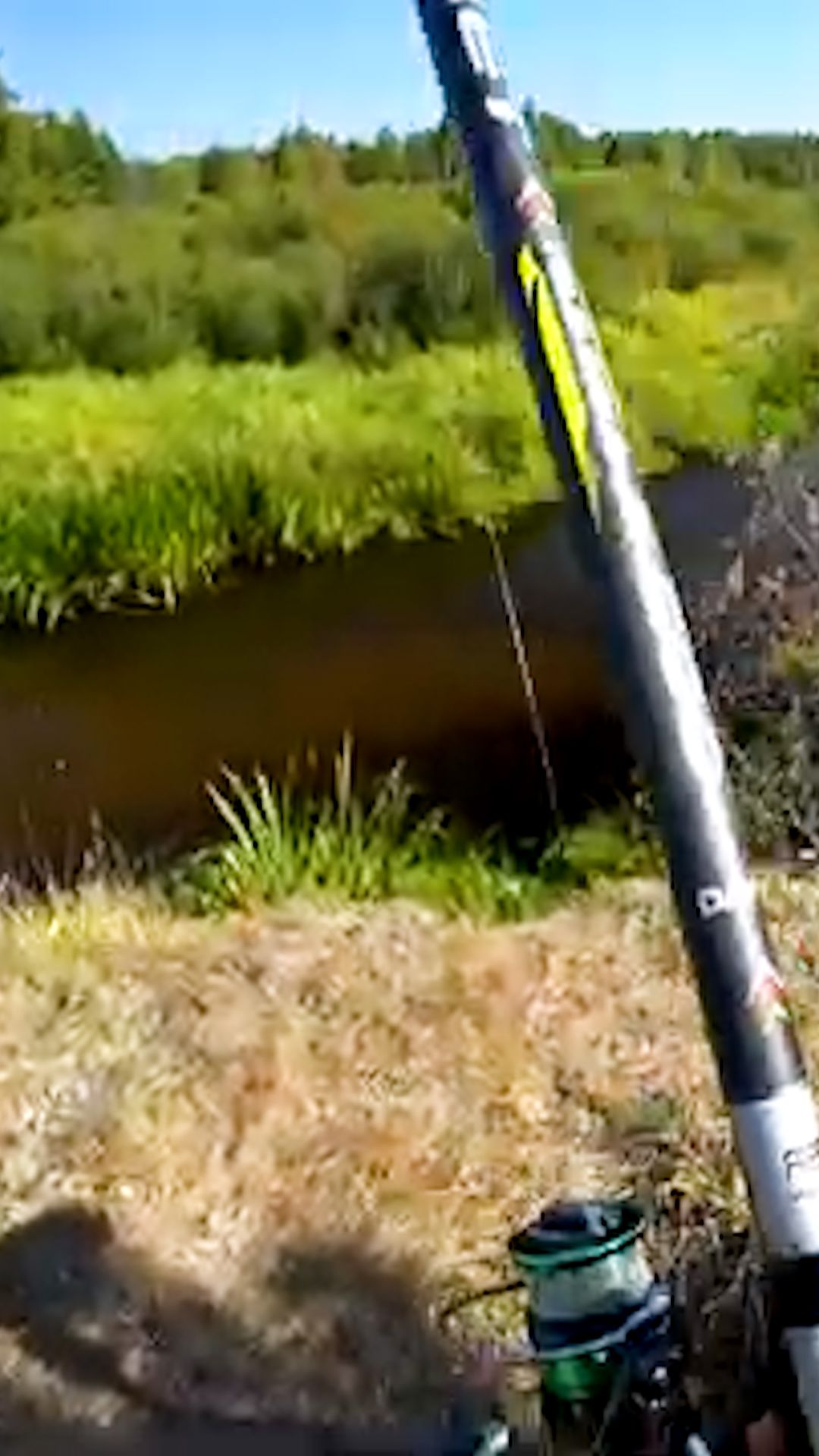 Перешёл на новое место и сразу поймал большую рыбу