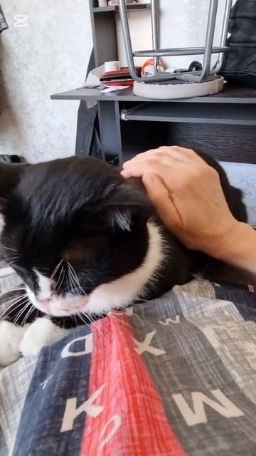 Девочки в кадре.👋😍👍