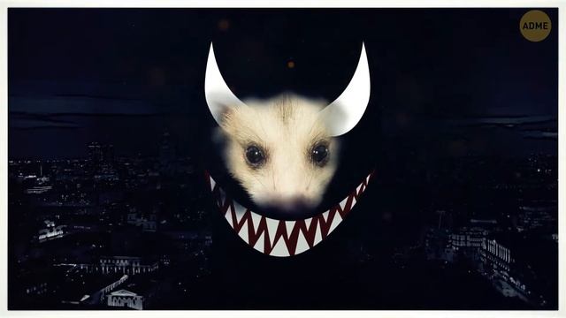 Be2f60b04412141cc9ce256b27682bdc