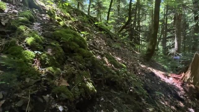 F142de024ce26b72b347d89680ba94ad