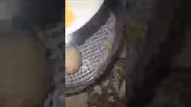 Biznes Uzbekistan  в прямом эфире!