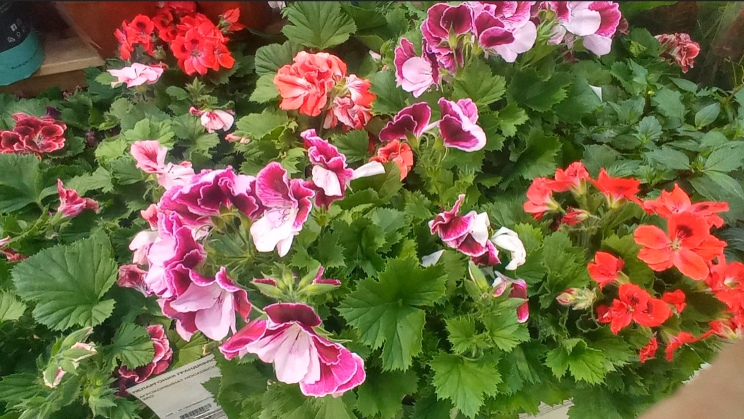 Выгнала себя на улицу... в такую-то холодину.