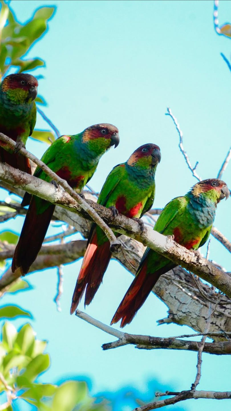 2e47d00e6ef5d9f37988bccb04cdd445