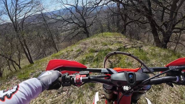 Псебай 2026 Колизей