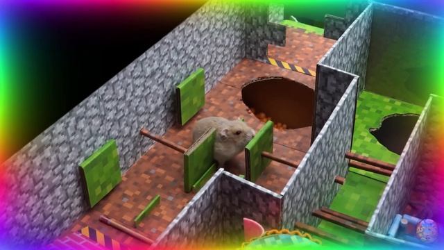Мой хомяк выбирается из сада лабиринта! часть 5
