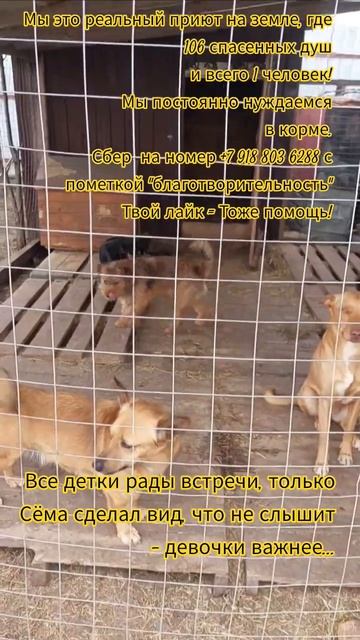 НАС107=106хвостиков  +1человек!