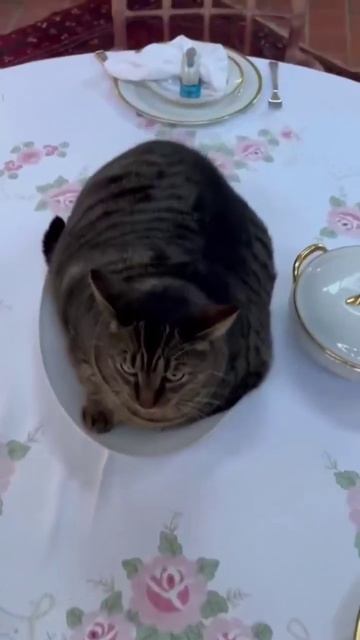 Нифига себе салатик