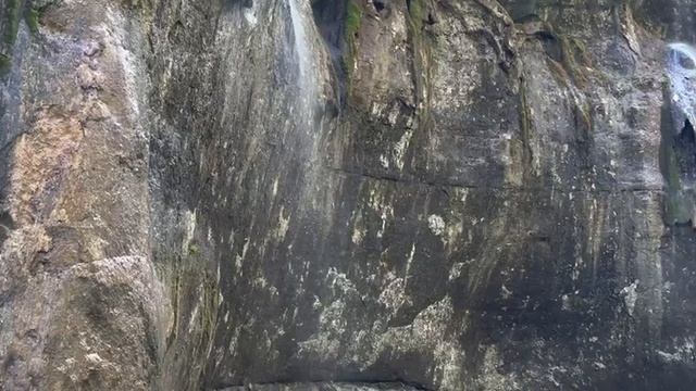 5b4f5fc02b4e9c1b379c003a4754979f