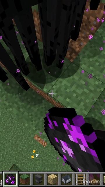 Сколько блоков эндермены смогут переставить в майнкрафт?!