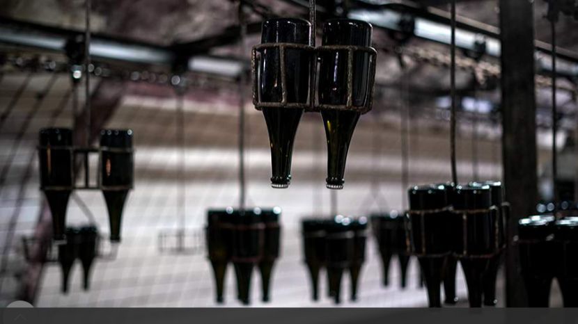 Эксперт рассказала о создании в РФ нормативной базы для безалкогольного вина