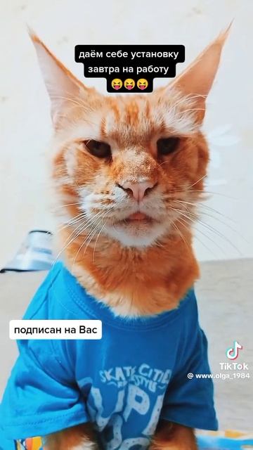 Алкоголизм.
1000019597.mp4