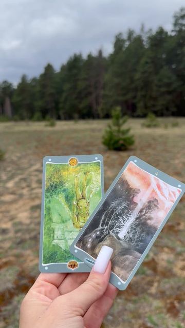 Экспресс расклад