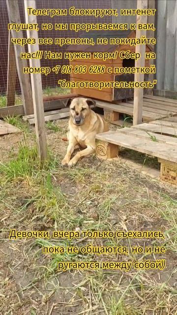 НАС107=106хвостиков  +1человек!