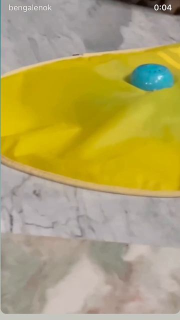 #бенгал #бенгальскийкот #кот