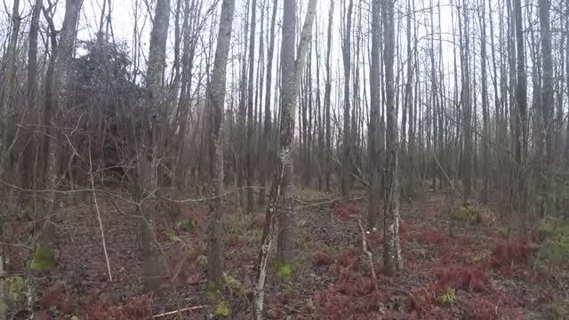 C90faf24216ddd5e29dd74f54ad8a812