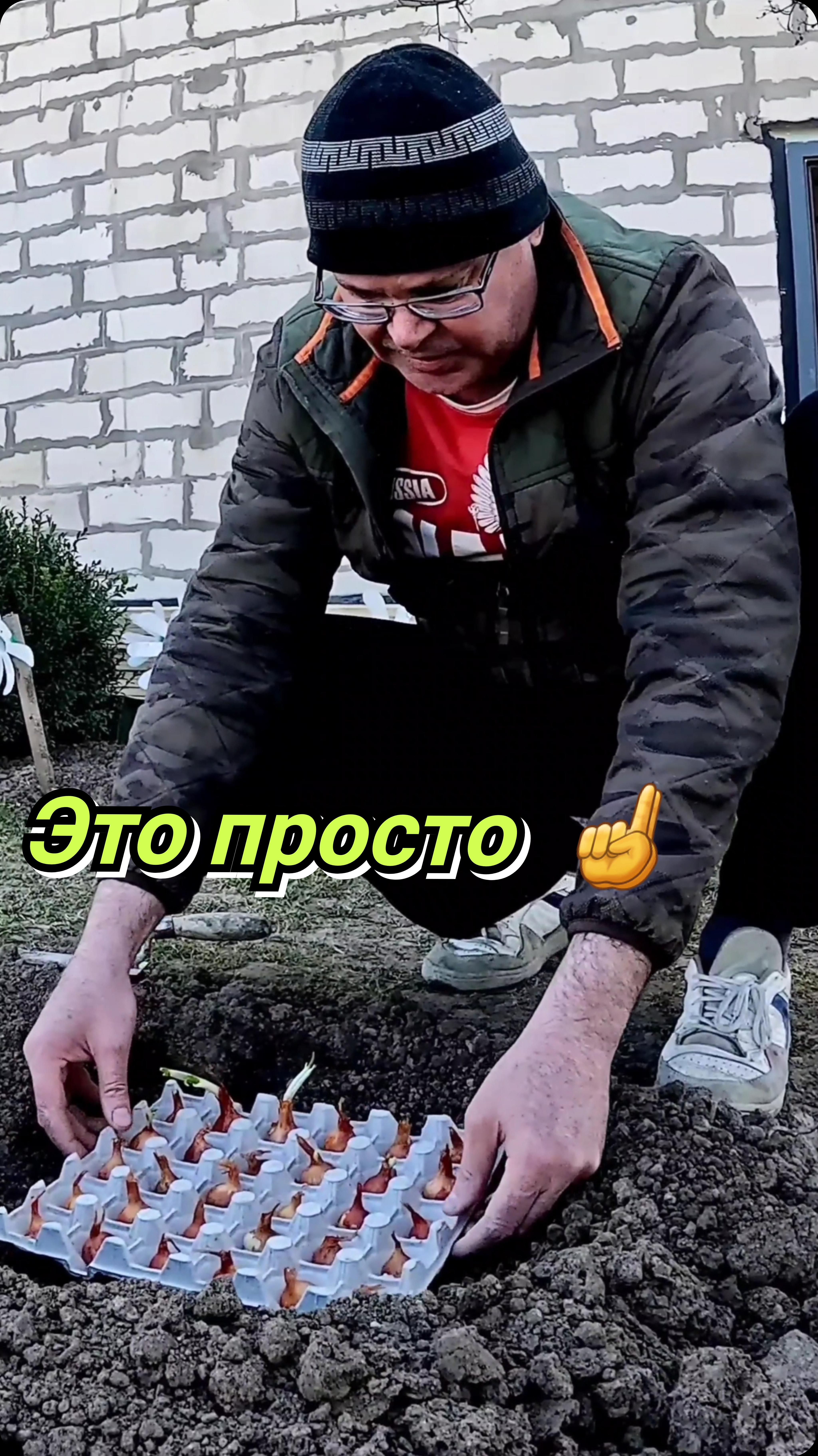 Лук в лотке из под яиц.