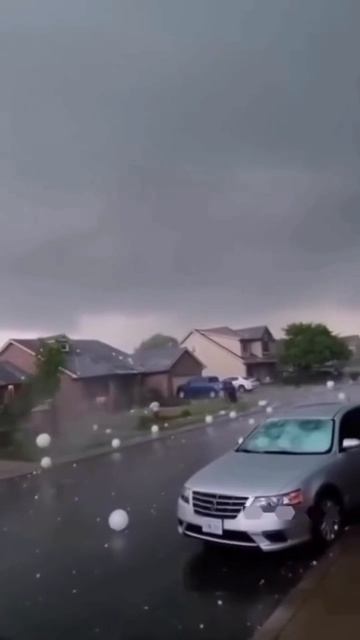 Град говорите НУ НУ....