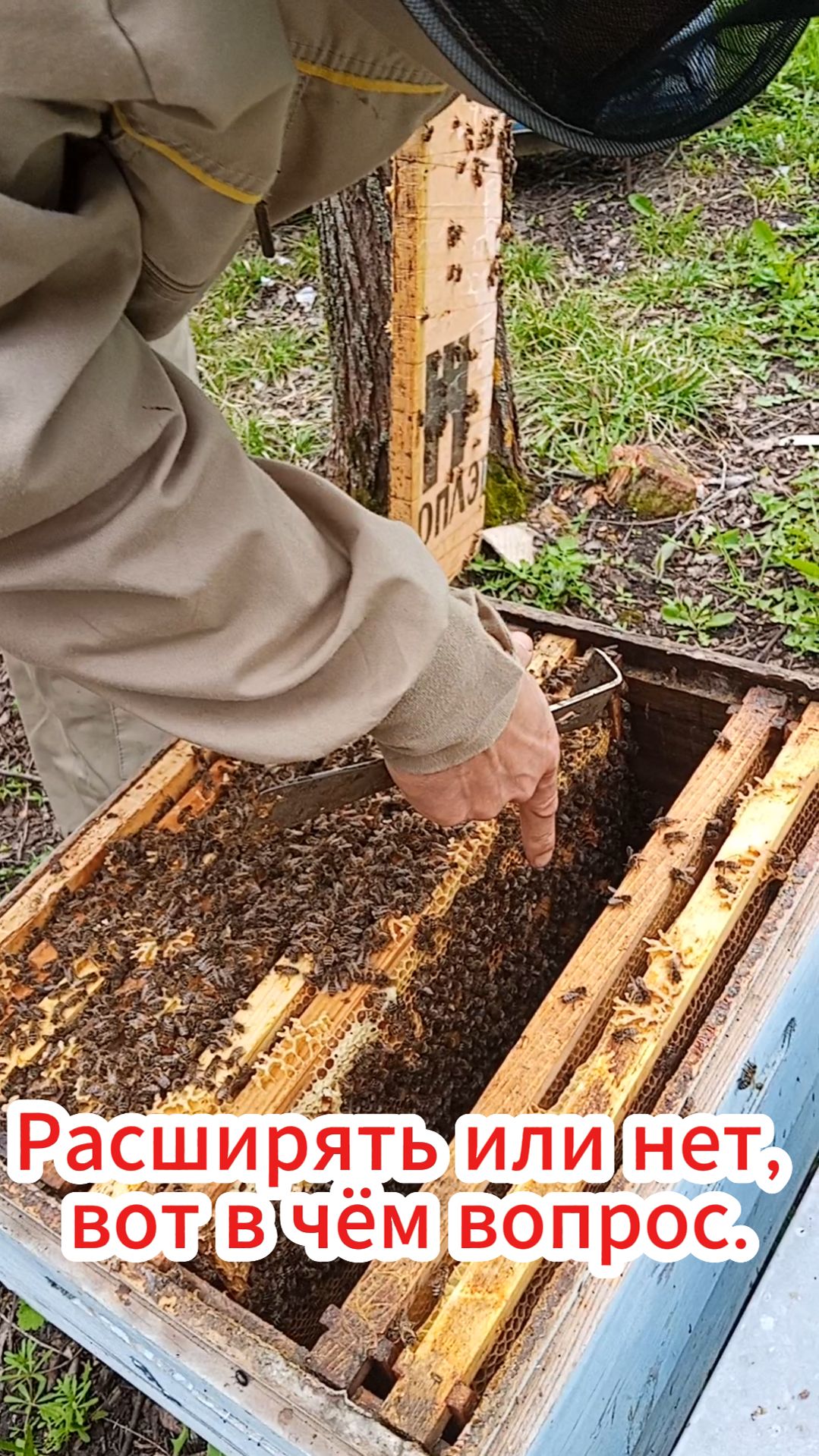 Расширение пчелосемьи за 30 секунд.