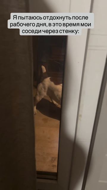 DEMONIKA | И так каждый вечер