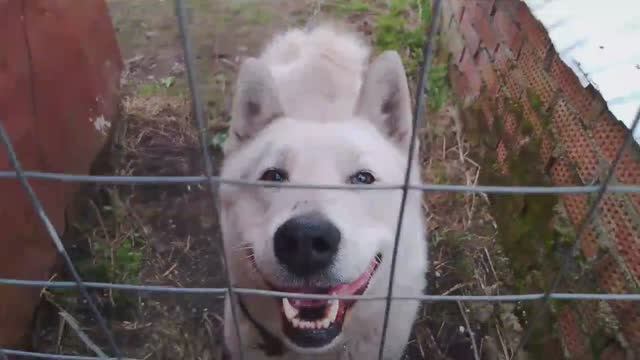 Я прошёл 100 метров от дома в поле.