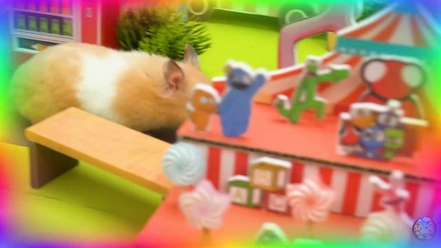 Мой хомяк выбирается из сада лабиринта! часть 1
