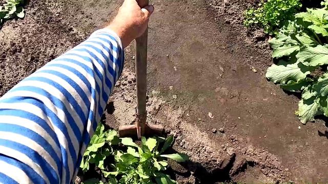 1aac8a04167629e8d9da3b2e90d89a04