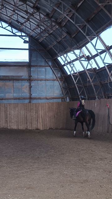Аня и Флейта, рысь без стремян в манеже, упражнение на посадку.