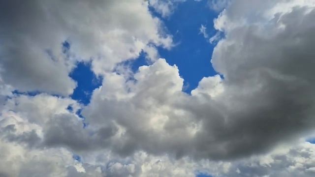 Я б не давала им взаймы