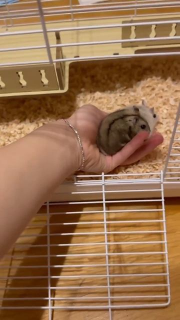 549c032705517dc6bd3e4252d2d1fb70