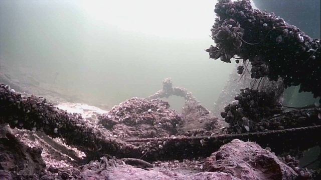 1000015718.mp4Волга гл.2м.20.04.2026г.