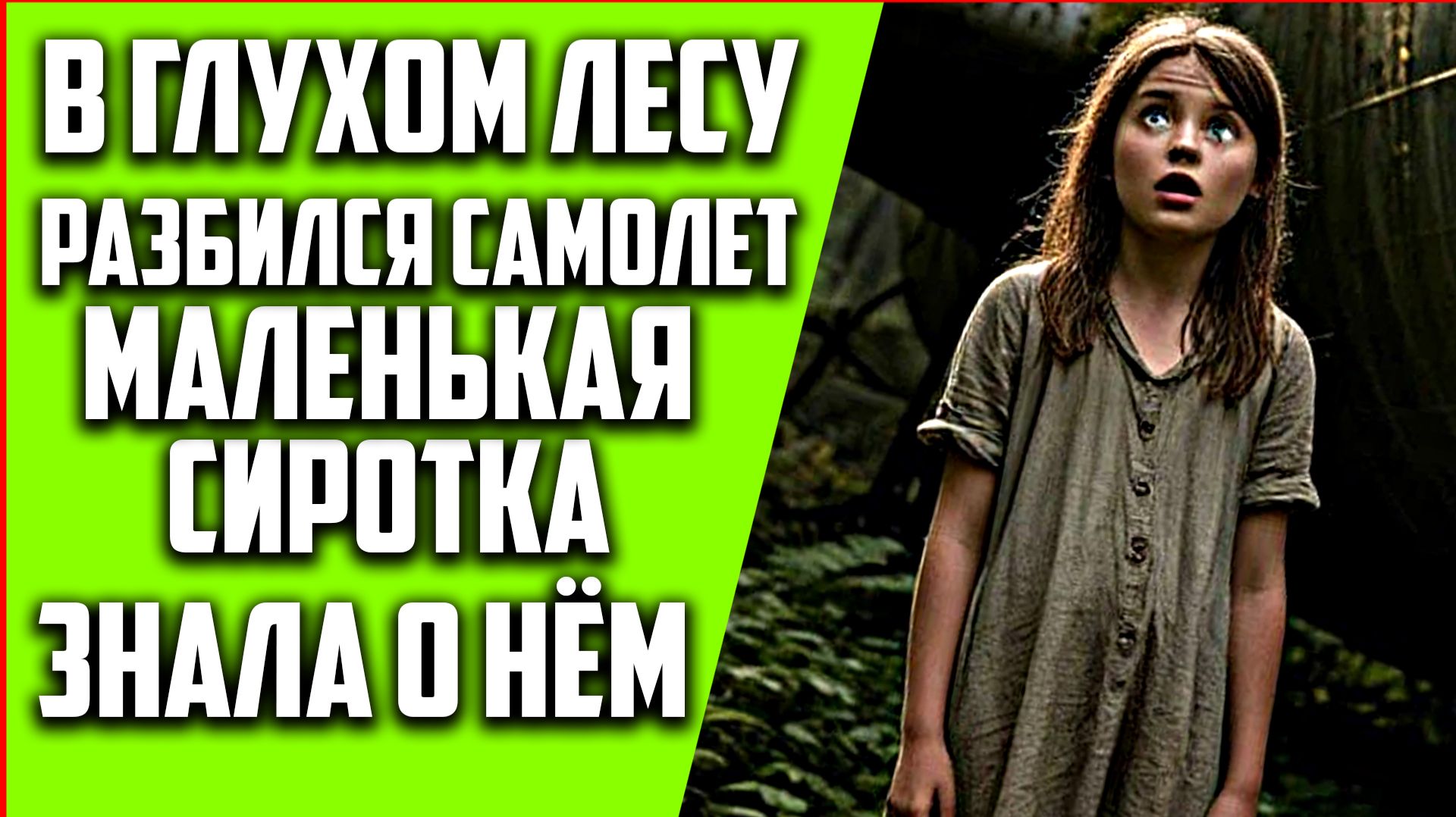 Одинокая девочка в лесу. Тайна забытого самолета, которую она раскрыла|Аудиокниги слушать онлайн