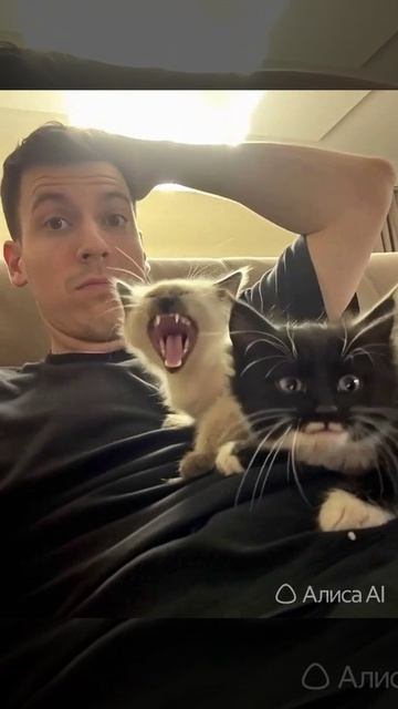 Скрытая камера