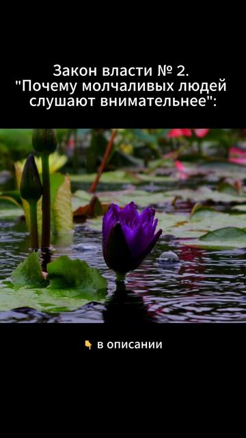 Закон власти № 2