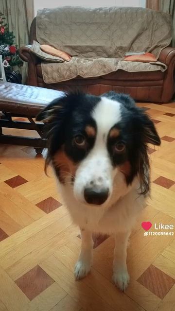 ♥️ подпишись, люблю своих подписчиков!