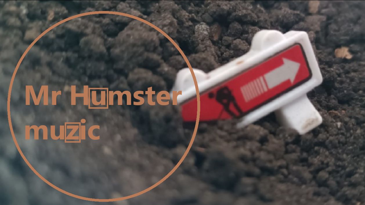 Mr Humster Muzic / In The Ground