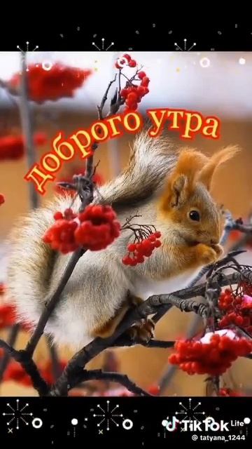 Всего наилучшего!🙏😀❤️