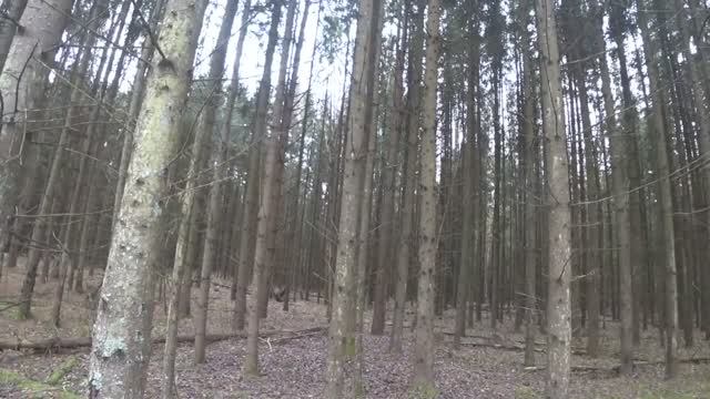 1b7536d5e662fa8d764f86ba4368f765