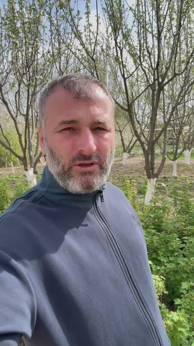 Переезд в деревню!