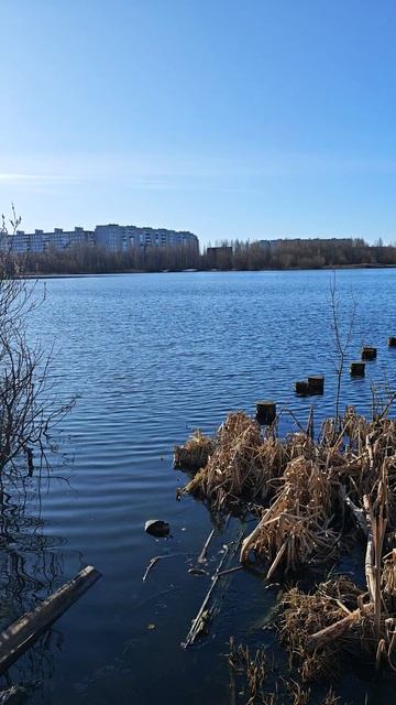 1e88e2ee78cd2423cd83a9f1e2b65187